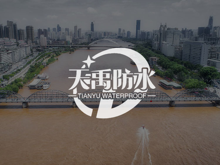 蘭州傳誠網(wǎng)絡公司案例-天禹防水